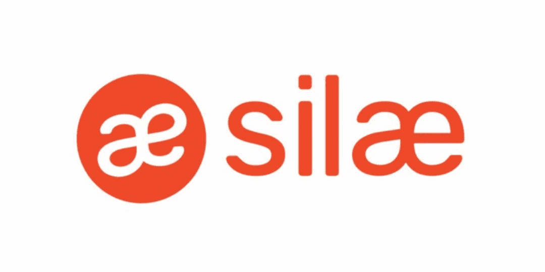 Logo Silae Expert